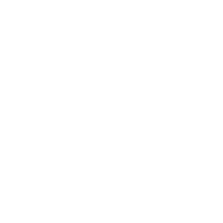 Hustlah Logo White